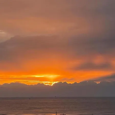 In Near Marina & Park * 오스텐드